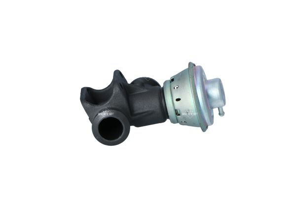 EGR Valve (555008)  Art. 48392