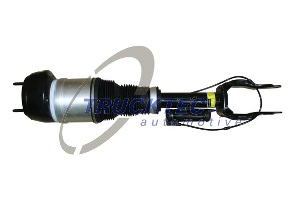 Air Suspension Strut  Art. 0230362