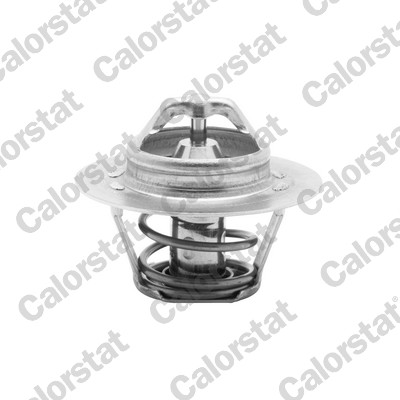 Thermostat, coolant  Art. TH595588J