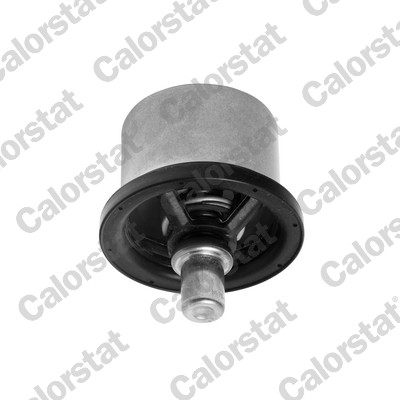 Thermostat, coolant (Front axle)  Art. THS1695782