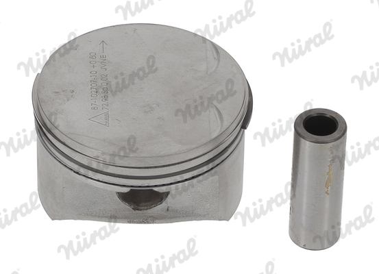 Piston (72.5)  Art. 8710270010