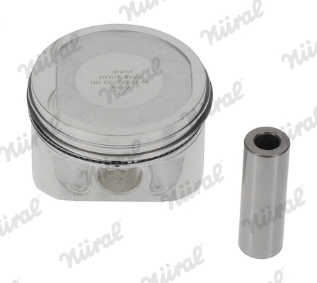 Piston (79.5)  Art. 8710420030