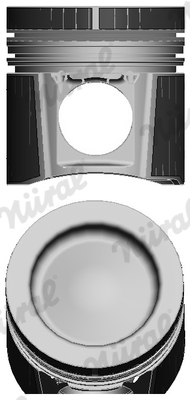 Piston (102)  Art. 8728930010