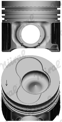 Piston (81)  Art. 8742100010