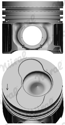 Piston (81)  Art. 8742100020