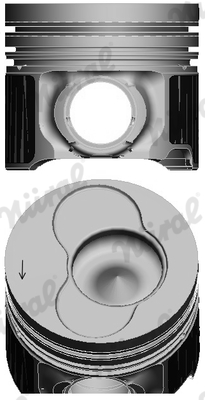 Piston (81)  Art. 8742100710