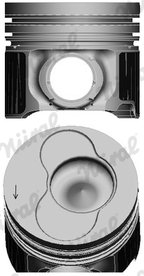 Piston (81)  Art. 8742100720