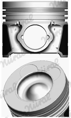 Piston  Art. 8743420000