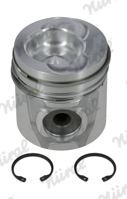 Piston  (102)  Art. 8743500000