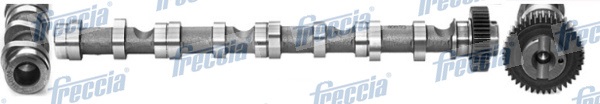 Camshaft  Art. CM052195