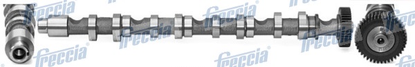 Camshaft  Art. CM052196