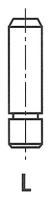 Valve Guide (Suction side, Exhaust side)  Art. G11313