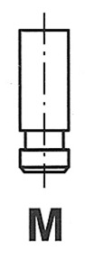 Intake Valve  Art. R4898SCR