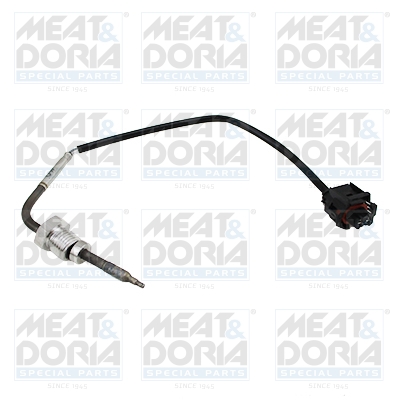 Sensor, exhaust gas temperature (Front axle, right)  Art. 12066