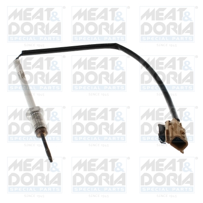 Sensor, exhaust gas temperature (con FAP)  Art. 12186E