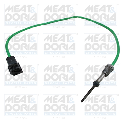 Sensor, exhaust gas temperature (con FAP)  Art. 12531