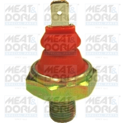 Oil Pressure Switch (Below)  Art. 72006