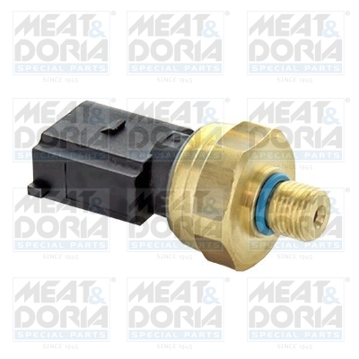 Sensor, fuel pressure (Direct injection)  Art. 825000