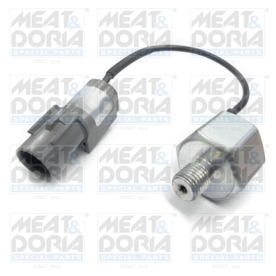 Knock Sensor (2)  Art. 87667