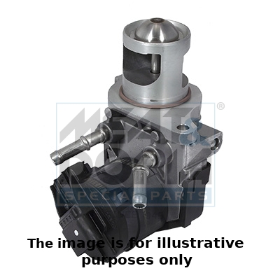 EGR Valve (555248)  Art. 88254E