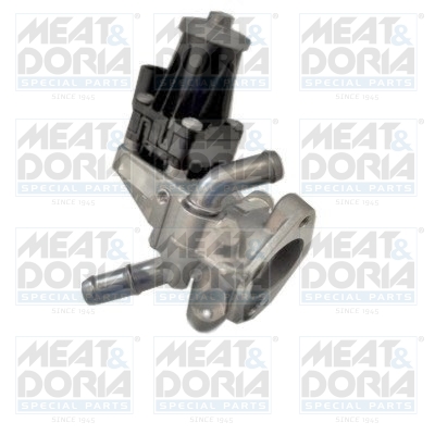 EGR Valve (5)  Art. 88255E