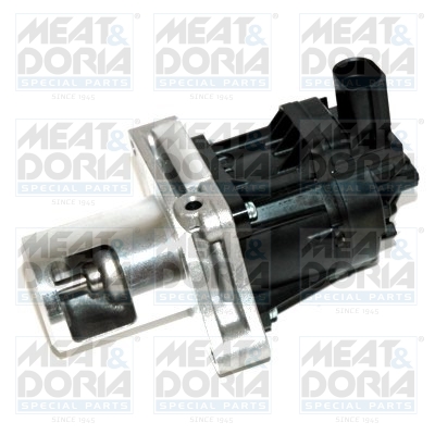 EGR Valve (555296)  Art. 88261