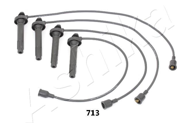 Ignition Cable Kit (From Poland to distributor)  Art. 13207713