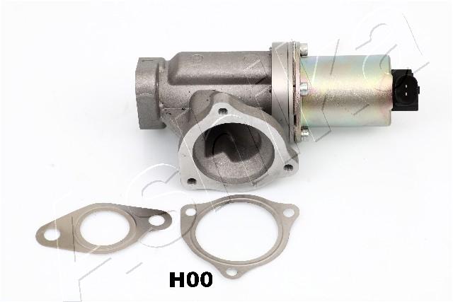 EGR Valve (2)  Art. 1500HH00