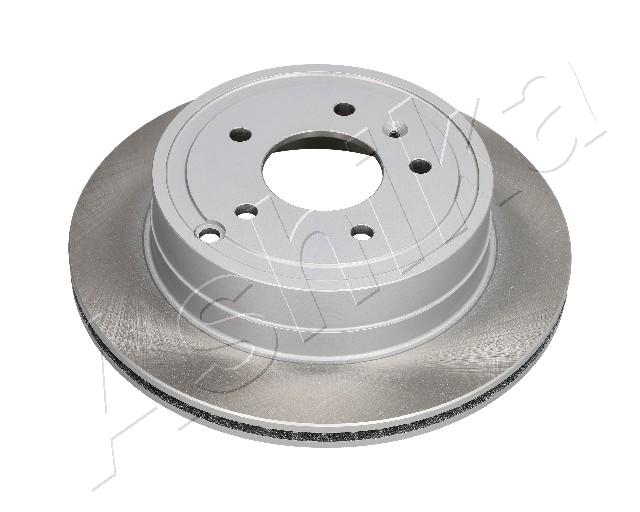 Brake Disc (Rear axle)  Art. 610WW05C