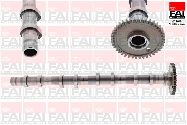 Camshaft (Removal side)  Art. C393