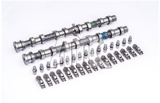 Camshaft Kit (Removal side)  Art. 647024K