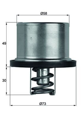 Thermostat, coolant  Art. TX3779