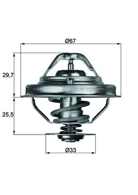 Thermostat, coolant  Art. TX3880D