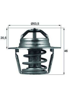 Thermostat, coolant  Art. TX9189D