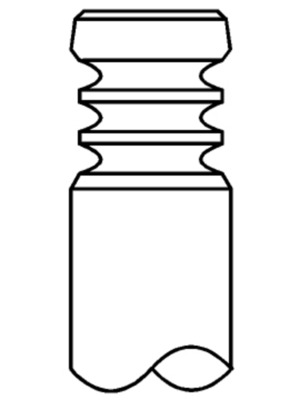 Intake Valve  Art. 029VE31102000