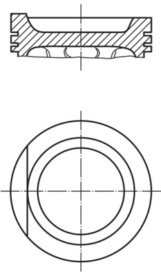 Piston (62.2)  Art. 0347502