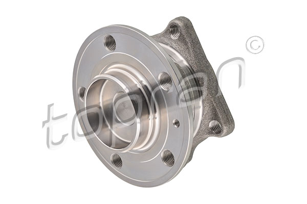 Wheel Bearing (Rear axle, both sides)  Art. 600227