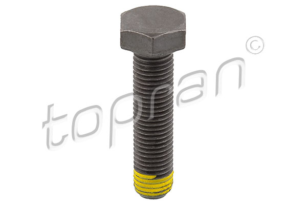 Flywheel Bolt  Art. 502756