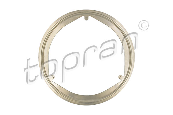 Gasket, exhaust pipe (before the catalytic converter)  Art. 116843