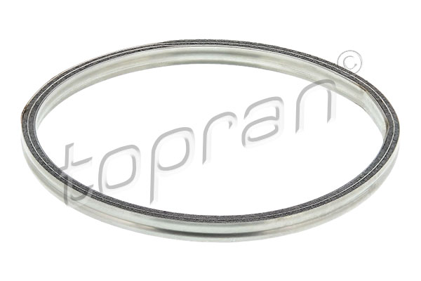 Gasket, exhaust pipe (78)  Art. 302247