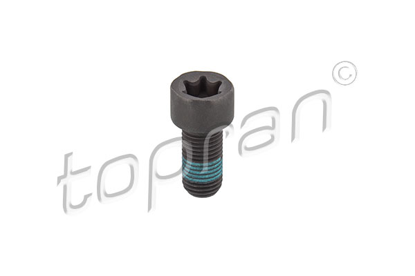 Flywheel Bolt  Art. 208861