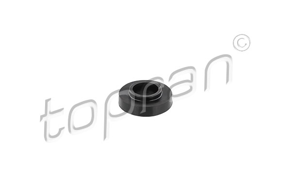 Seal Ring, cylinder head cover bolt (Pulley side)  Art. 408438