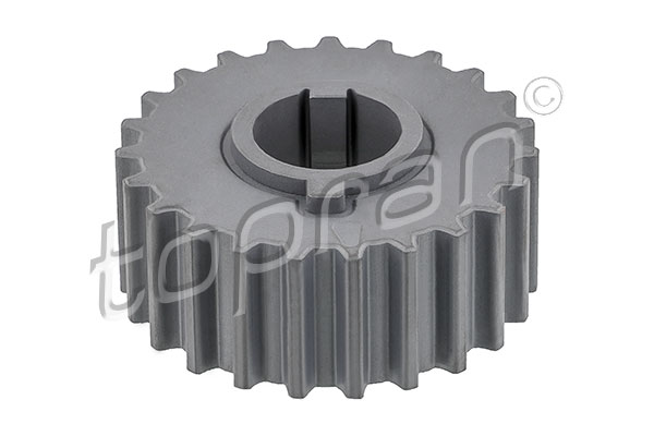 Sprocket, crankshaft (Rear axle)  Art. 205539