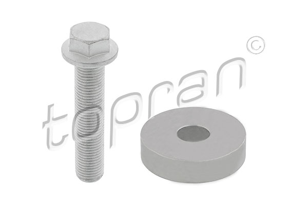 Pulley Bolt (81.5)  Art. 701519