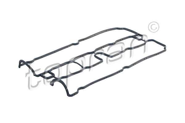 Gasket, cylinder head cover  Art. 206131