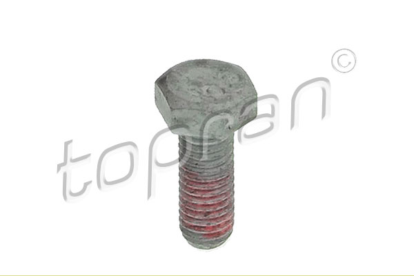 Bolt, brake caliper (21)  Art. 110710