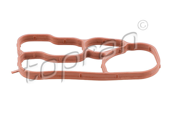 Gasket, oil cooler (Oil filter housing)  Art. 117895