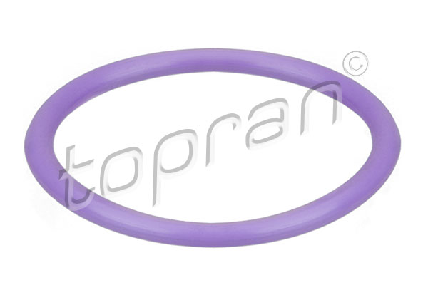 Sealing Ring, refrigerant line (0.02)  Art. 114774