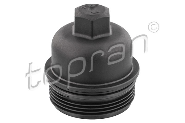 Cap, oil filter housing (53)  Art. 503637