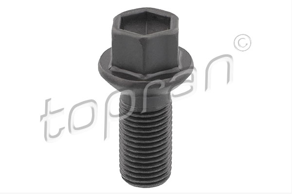 Wheel Bolt (front axle, both sides, Rear axle, both sides)  Art. 408843